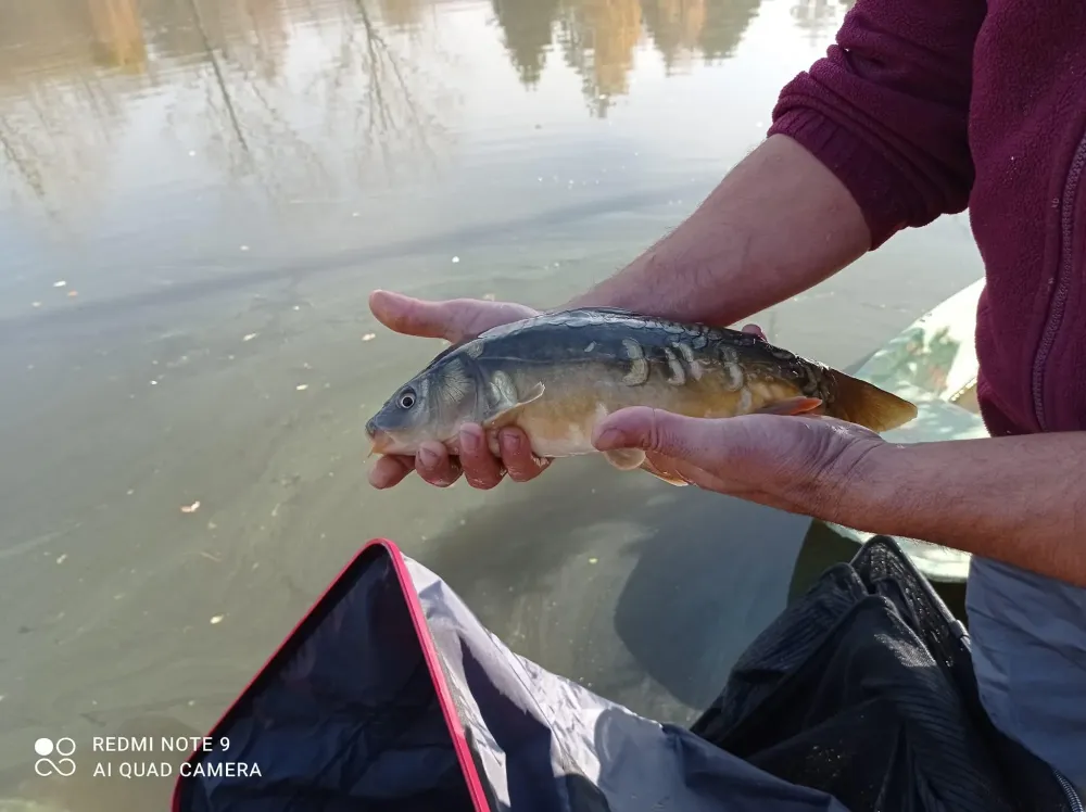 Pêche près de Roanne